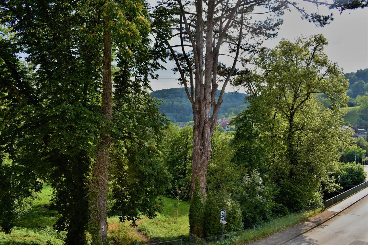 Bad Bruckhaus Erlebnishotel Waldshut-Tiengen Exterior foto